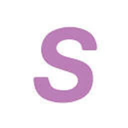 Slang logo