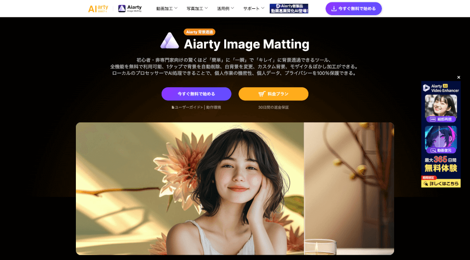 Aiarty Image Matting