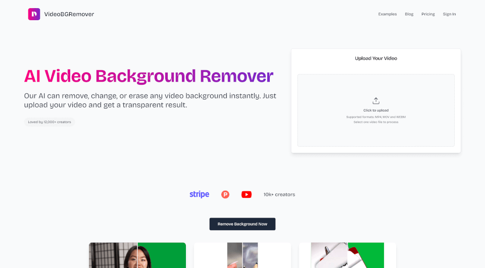 VideoBGRemover