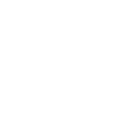 fylm.ai logo