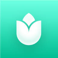 PlantIn plant care identifier logo