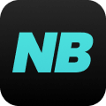 NicheBay logo