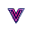 Vidgo AI logo
