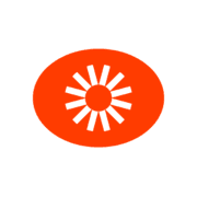Visual Electric logo