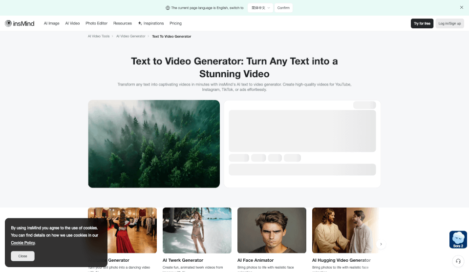 insMind Text to Video Generator