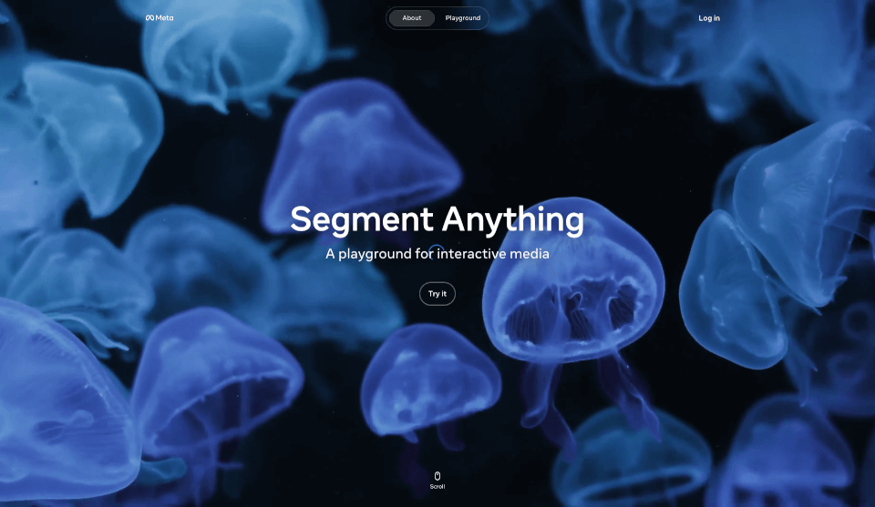 Segment Anything Model (SAM)