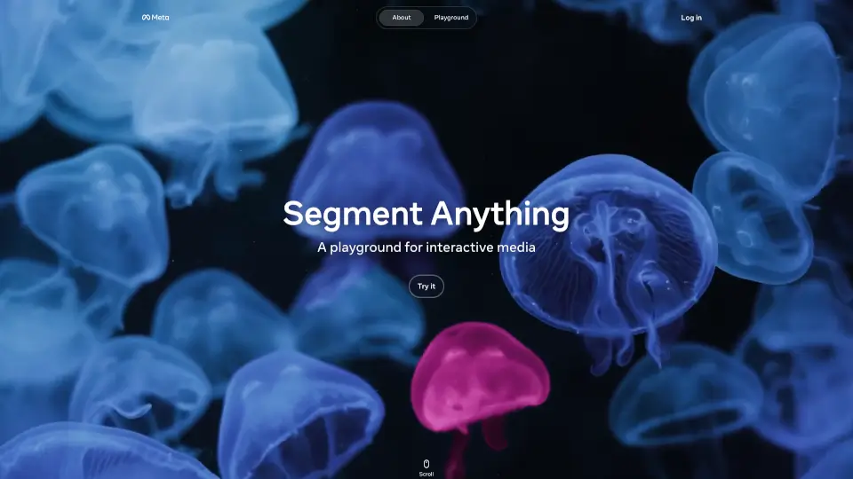 Segment Anything Model (SAM)