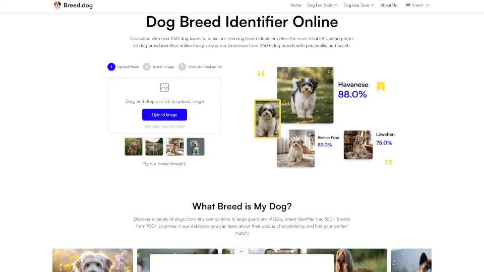 Breed.dog