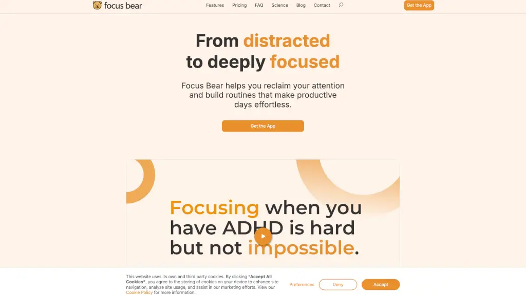 Focus Bear